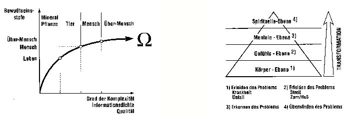 Zur Wissenschaftstheorie der Neuen Homöopathie Teil 2