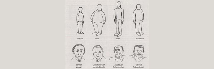 Die Konstitutionstypen des Menschen