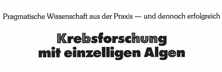 Krebsforschung mit einzelligen Algen