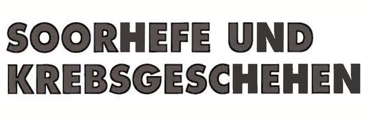 Soorhefe und Krebsgeschehen