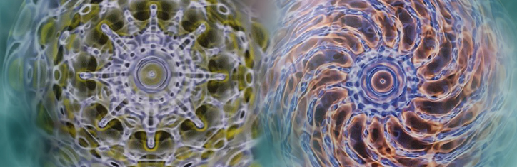 Krebs vorbeugen mit Clustermedizin