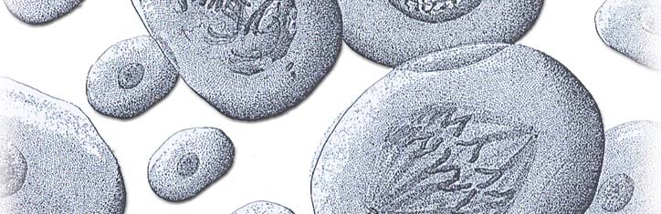 Darwins Irrtum und die Krebsmedizin