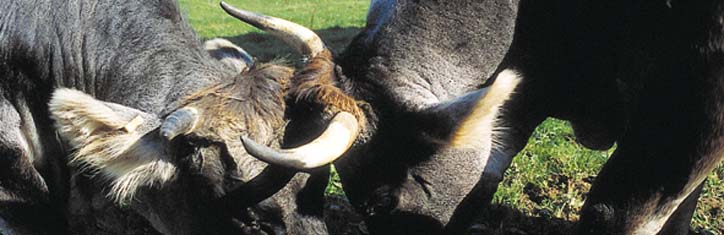 Der große Bauern-Report Teil 6