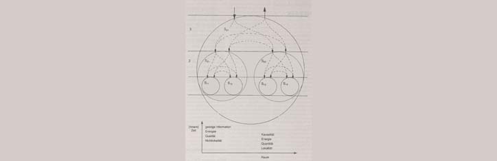 Ein kybernetischer Ansatz zum Realitätsproblem der Physik (I)
