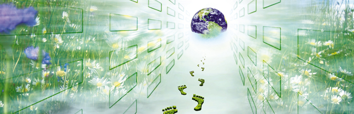 Kleine Schritte mit großer Wirkung