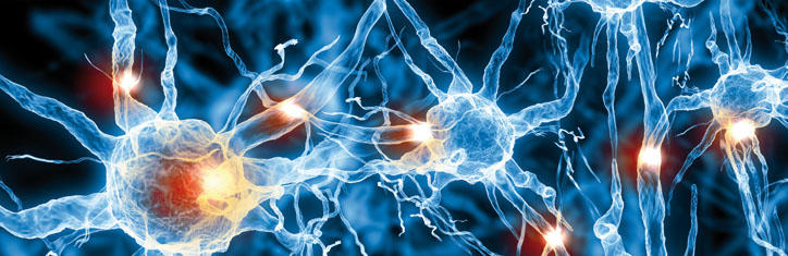 Therapie nach Tamara Lebedewa