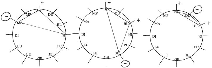 Dokumentation von Fallbeispielen bioenergetischer Test- und Diagnoseverfahren 2