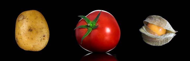 Natürliche Toxine in unserer Nahrung