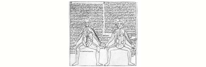 Muss man Medizin an Leichen studieren?