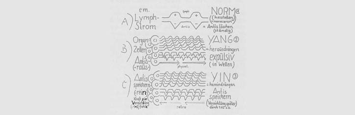 Die Geheimnisse der MMM-Wirkungen (Medizinische Mikro-Magnetik)
