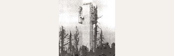 Mikrowellensmog und Waldschäden – tut sich doch noch was in Bonn?