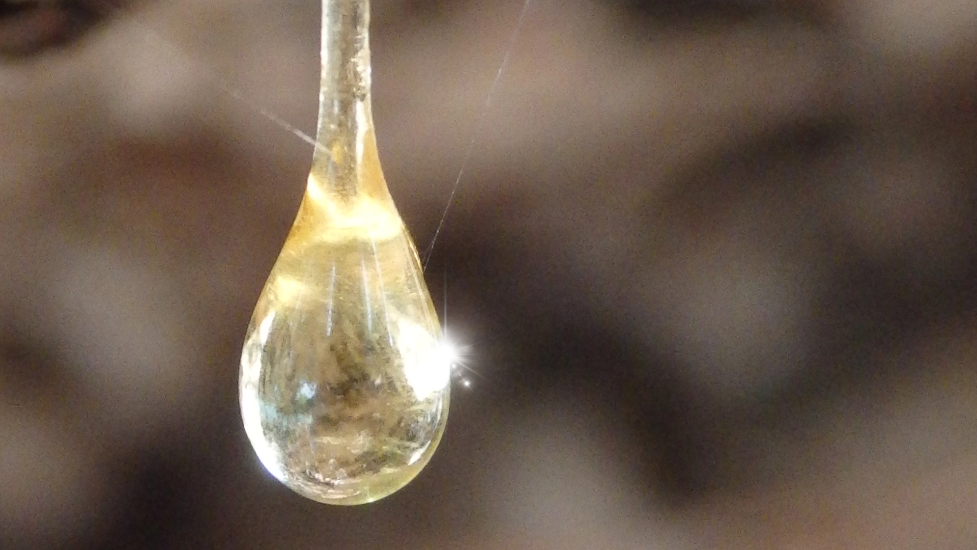 Natürliche Harze in der Heilkunde