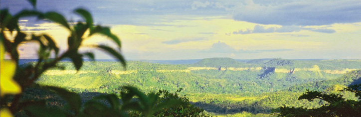 Natürliche Tropenmedizin