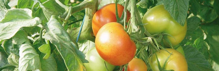 Im Kreislauf mit der Natur