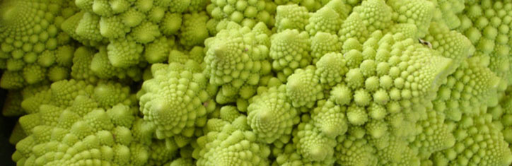 Ist die Natur selbst- oder fremdbestimmt?