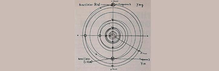 Therapie mit Grundformen der Natur