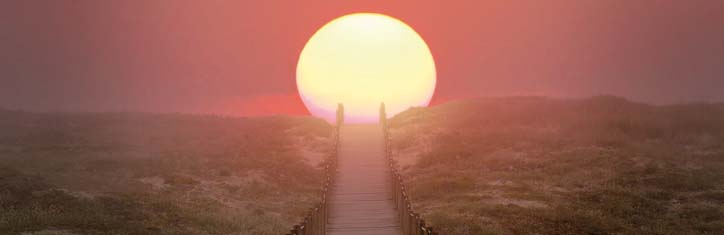 Bewusstsein in der Natur