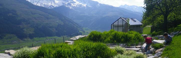 Naturkläranlagen – raus aus der Kloake