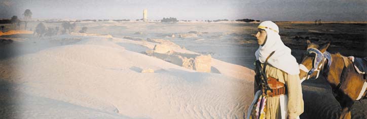 Arabische Naturmedizin Teil 2