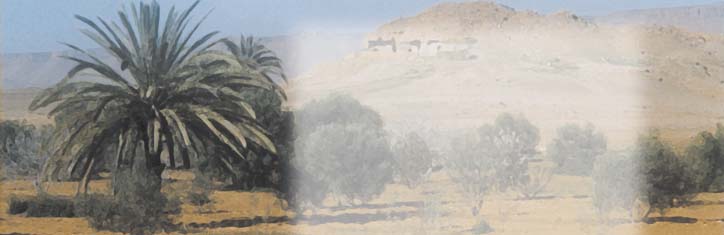 Arabische Naturmedizin Teil 3