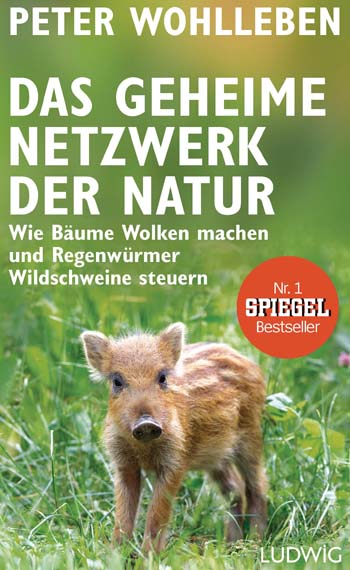 Das geheime Netzwerk der Natur