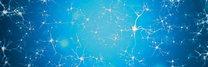 NIS– Signale für das Nervensystem