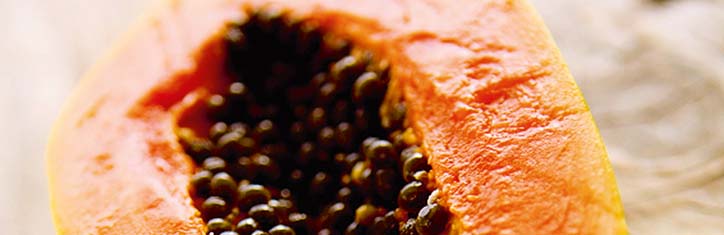 Papaya – durch weniger Ballast zu mehr Vitalität