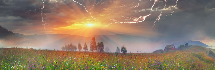 Pflanzenwachstum durch Frequenzen