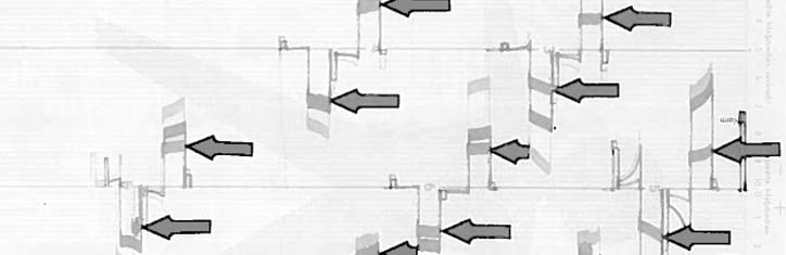 Bioelektrische Untersuchungen mit der Pyramiden-Energie