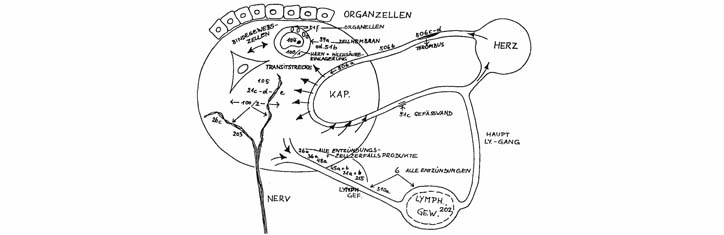 Erfahrungen in der Behandlung Krebskranker mit Regenaplexen