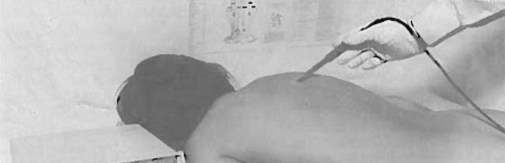 Zur energetisch-plasmatischen Regulationstherapie