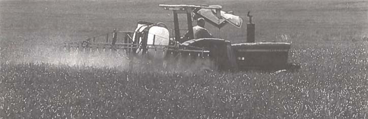 Das Ende vom Traum der nachwachsenden Rohstoffe