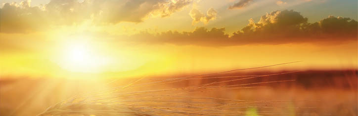 Streiten für die Sortenvielfalt