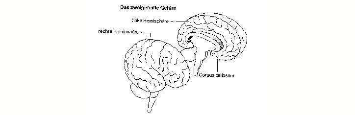 Jurist schlägt Alarm: Sind unsere Schulen verfassungswidrig?