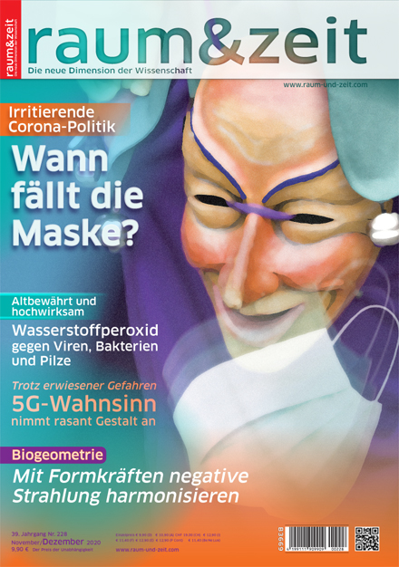 E-Paper: raum&zeit Nr. 228 November/Dezember 2020
