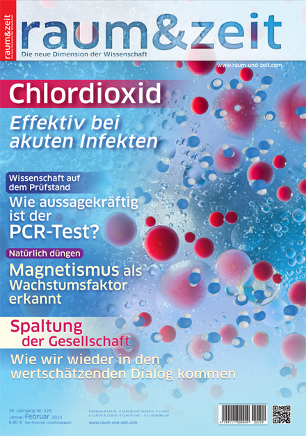 E-Paper: raum&zeit Nr. 229 Januar/Februar 2021