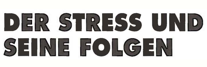 Der Stress und seine Folgen