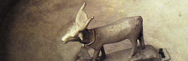 Mit Tieren kommunizieren – Das morphogenetische Feld der Tierenergie