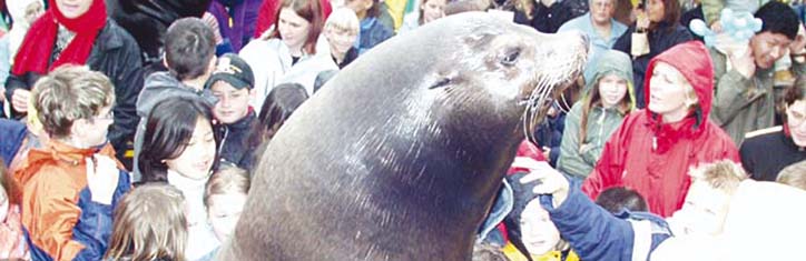 Therapieren in Harmonie mit dem Kosmos