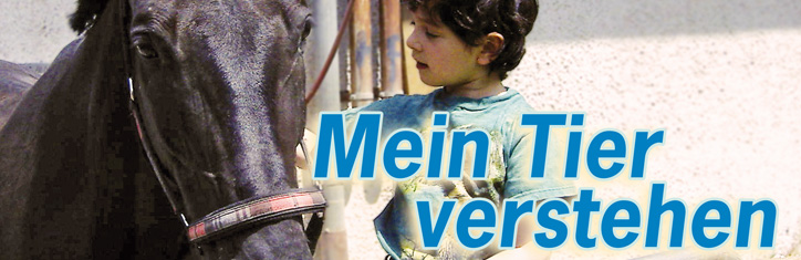 Tierkommunikation – Mein Tier verstehen