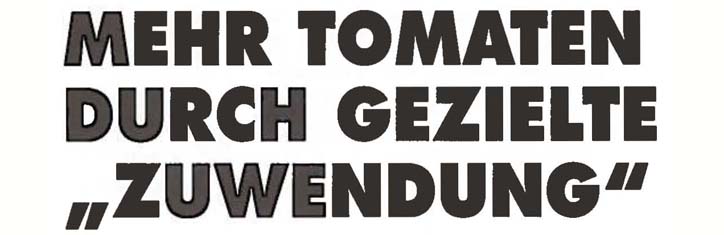 Mehr Tomaten durch gezielte 'Zuwendung'
