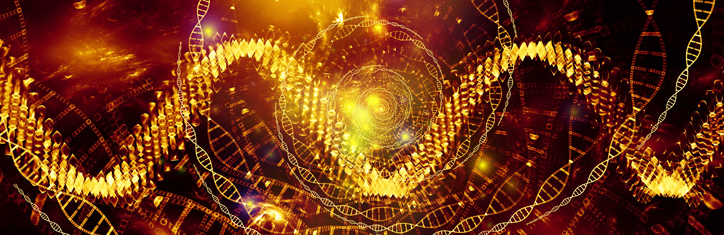 Universal Scaling Teil 2