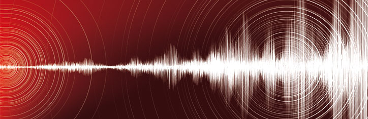 Mit Vibrationen gegen Ungeziefer