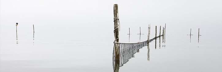 Visionen für die Seele