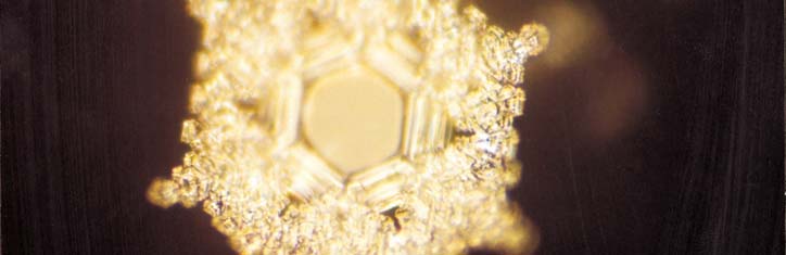 Die Botschaft des Wassers: Mentale Energie und Information im Wasser sichtbar ge