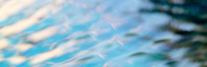 Das Leben im Spiegel der Wellenmechanik Teil 2