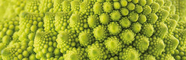 Der holografische Wirbelaufbau der Welt