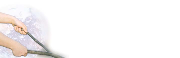 Die Wünschelrute als physikalisches Phänomen Teil 1